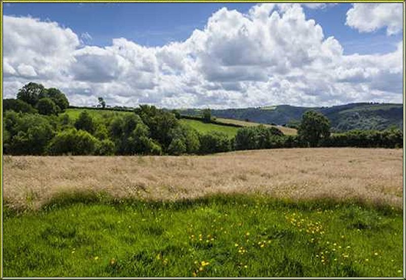 Rural Devon